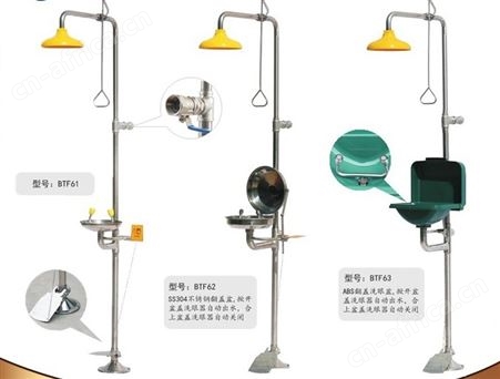 BTF81大踏板冲淋洗眼器 紧急复合式洗眼器 排空防冻 喷淋洗眼器