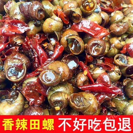 香辣田螺即食嗦螺海鲜零食泥螺熟食螺蛳500g小袋装麻辣原料批发价