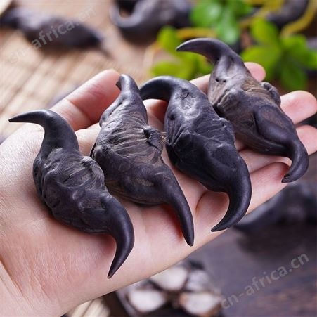 【现摘现发】新苓苓角老菱角现摘莲角凌角棱角粉糯带壳1斤可包邮