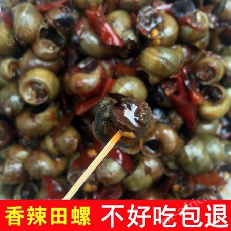 香辣田螺即食嗦螺海鲜零食泥螺熟食螺蛳500g小袋装麻辣原料批发价