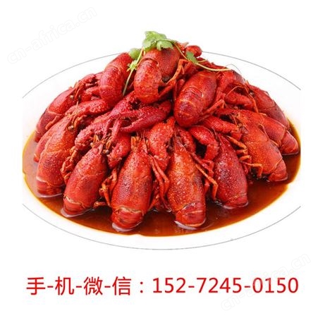 洪湖湿地家常麻辣小龙虾的做法步骤700g*10盒加热即食龙虾尾包邮