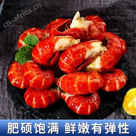 【4件116】冷冻龙虾尾500g50-60只大号香辣麻辣小龙