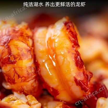 小龙虾尾麻辣小龙虾尾麻辣炒虾尾即食小龙虾熟食麻辣海鲜虾球盒装性价高