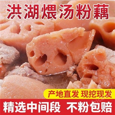 正真蝴北洪蝴莲藕特产粉藕煲汤清水红藕脆藕片九孔糯米藕新鲜现挖