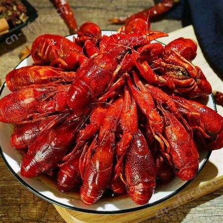 5斤567钱麻辣小龙虾鲜活活虾清水龙虾新鲜淡水青虾红虾生鲜大