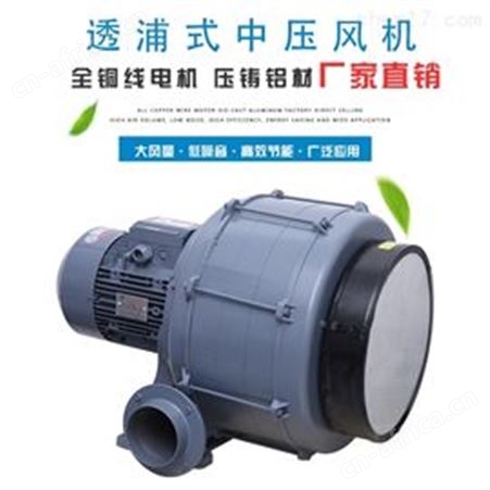HTB125-1005大流量透浦式中压鼓风机