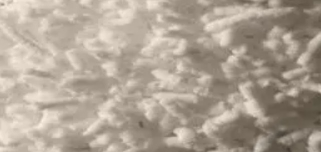 低场核磁检测热塑性丁苯橡胶含量 低场核磁检测热塑性丁苯橡胶含量