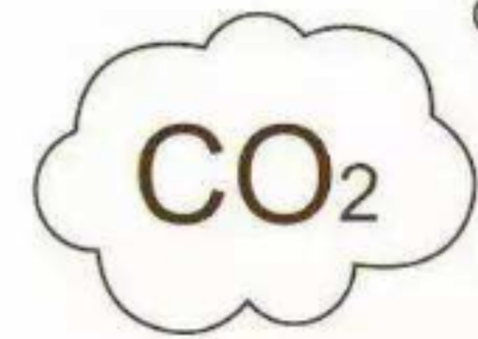 低场核磁共振研究甲烷与co2吸附过程