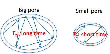 低场核磁共振研究甲烷与co2吸附过程