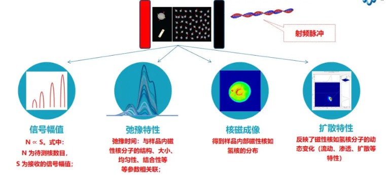 岩心注聚合物驱油实验低场核磁技术